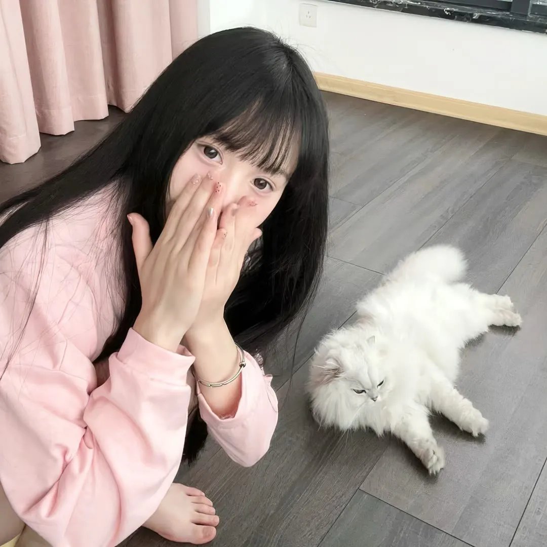 情歌 在线观看